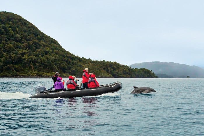 Silversea Cruises - Excursions Nature Wildlife Destinations Zodiac Dolphin.jpg